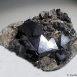 Magnetita
6 x 4 cm
(Autor: Joan Niella)