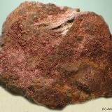 Eritrita (Eritrina)
70 x 55 mm
(Autor: Joan Niella)