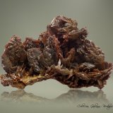 Descloizita
82 x 63 x 53 mm.
(Autor: Rafael Galiana)
