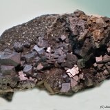 Galena
55 x 35
(Autor: Joan Niella)