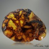 ámbar
40 x 35 x 10 mm.
(Autor: Rafael Galiana)