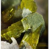 Clinozoisita y Augita.
Encuadre 4 mm.
(Autor: Rafa Muñoz(mineralvarado))