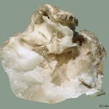 Yeso
8 x 7 cm
(Autor: Joan Niella)