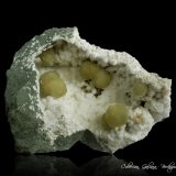 Girolita
117 x 111 x 66 mm.
(Autor: Rafael Galiana)