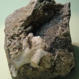 Stilbita-Ca (Estilbita-Ca)
8 x 9 cm
(Autor: Joan Niella)