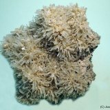 Yeso
8 x 10 cm
(Autor: Joan Niella)
