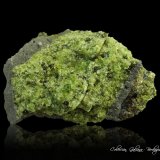 Forsterita (variedad peridoto)
100 x 65 x 64 mm.
(Autor: Rafael Galiana)