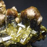 Epidota, Clinozoisita
0,5 cm. el cristal mayor
(Autor: javier ruiz martin)