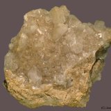 Celestina
9 x 7 cm
(Autor: Joan Niella)
