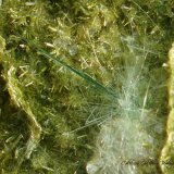 Actinolita
cristal de 14 mm de longitud.
(Autor: Rafael Galiana)