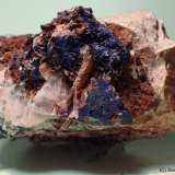 Azurita
9 x 6 cm
(Autor: Joan Niella)