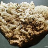 Hornblenda
8 x 7 cm
(Autor: Joan Niella)