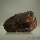 Andalucita (variedad quiastolita)
68 x 23 x 20 mm.
(Autor: Rafael Galiana)