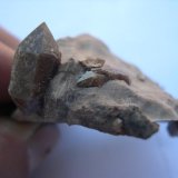 Cuarzo
Tamaño del cristal 1,5 cm.
(Autor: minero1968)