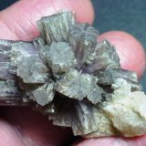 Aragonito, Yeso
5 x 3 cm.
(Autor: javier ruiz martin)