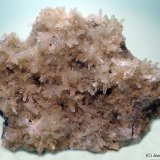Natrolita
80 x 75 mm
(Autor: Joan Niella)