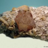 Scheelita
75 x 50 mm
(Autor: Joan Niella)