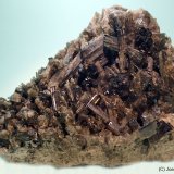 Epidota
9 x 7 cm
(Autor: Joan Niella)