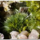Pumpellita, Clinozoisita
Encuadre 7 mm.
(Autor: Rafa Muñoz(mineralvarado))