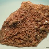Piromorfita
5 x 4 cm
(Autor: Joan Niella)