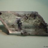 Yeso
7 x 4 cm
(Autor: Joan Niella)