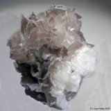 Calcita
7 x 7 cm
(Autor: Joan Niella)