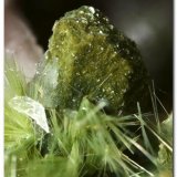 Augita.
Cristal de 2,5 mm.
(Autor: Rafa Muñoz(mineralvarado))