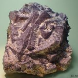 Fluorita
8 x 9 cm
(Autor: Joan Niella)