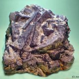 Fluorita
85 x 80 mm
(Autor: Joan Niella)