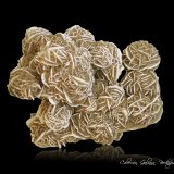 Yeso (variedad rosa del desierto)
97 x 80 x 46 mm.
(Autor: Rafael Galiana)