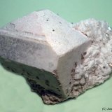 Ortoclasa
75x40 mm
(Autor: Joan Niella)