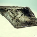Yeso
50 x 30 mm
(Autor: Joan Niella)