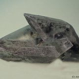 Yeso
7 x 3 cm
(Autor: Joan Niella)