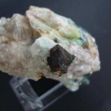 Tetraedrita
Crstal de 13mm.
(Autor: minero1968)