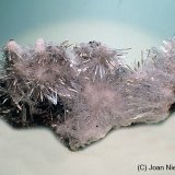 Yeso
110x45 mm
(Autor: Joan Niella)