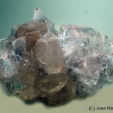 Fluorita
9 x 6 cm
(Autor: Joan Niella)