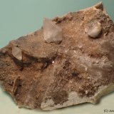 Calcita
10 x 6 cm
(Autor: Joan Niella)