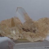Yeso
55 x 35 mm
(Autor: Joan Niella)