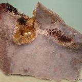 Celestina
7 x 5 cm
(Autor: Joan Niella)
