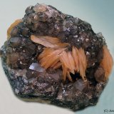 Cerusita
55 x 40 mm
(Autor: Joan Niella)