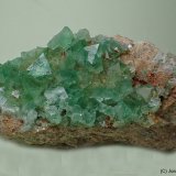 Fluorita
80 x 35 mm
(Autor: Joan Niella)
