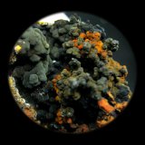 Calcofanita
5x3 cm.
(Autor: supertxango)