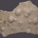 Okenita
17 x 12 cm
(Autor: Joan Niella)