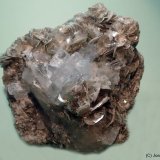 Berilo
60x70 mm
(Autor: Joan Niella)