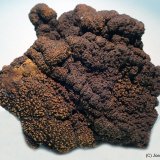 Goethita
80 x 75 mm
(Autor: Joan Niella)