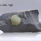 Marcasita
110 x 54 x 39 mm.
(Autor: Rafael Galiana)