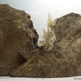 Celestina
12 x 8 cm
(Autor: Joan Niella)