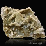 Whiteita-(CaFeMg)
77 x 50 x 22 mm.
(Autor: Rafael Galiana)