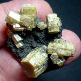Vanadinita (variedad vanadinita arsenical), Mottramita
5 x 4 cm. la pieza, cristal mayor 1 cm.
(Autor: javier ruiz martin)
