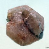 Yeso
40x35 mm
(Autor: Joan Niella)